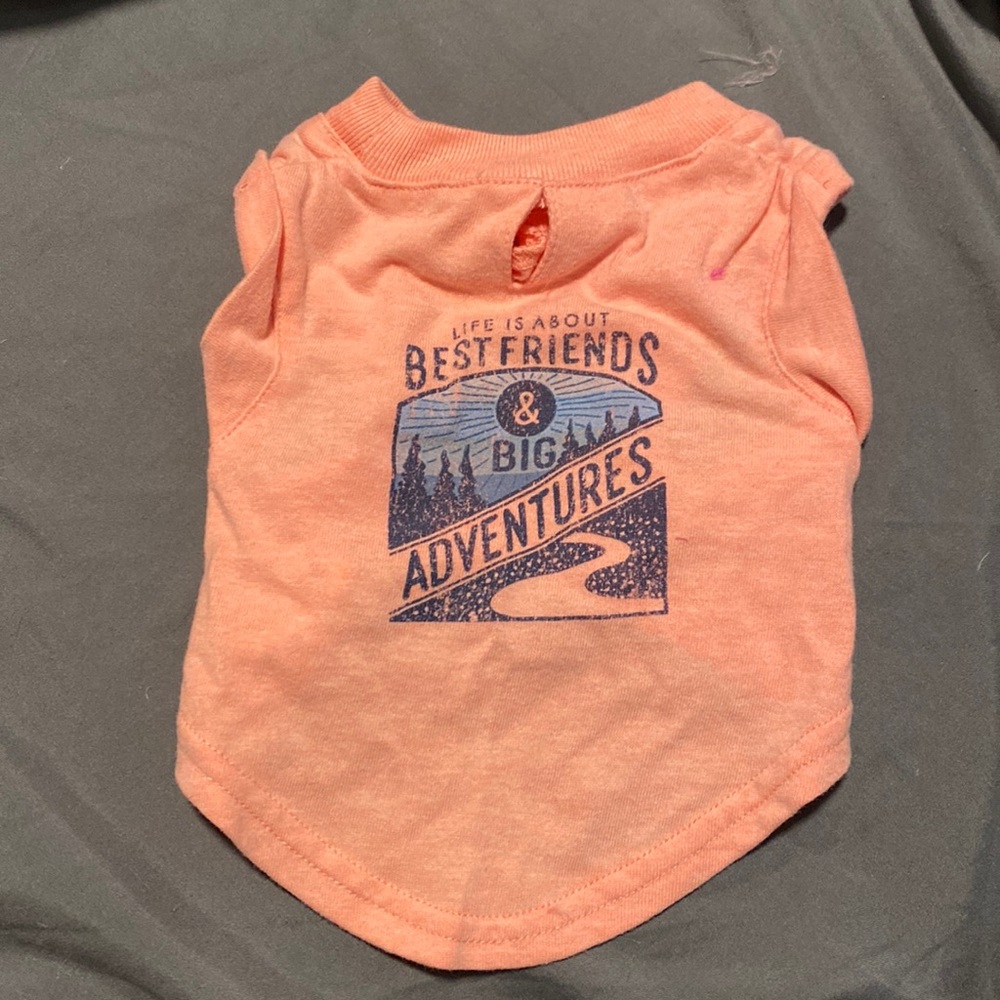 Coral tshirt for dog